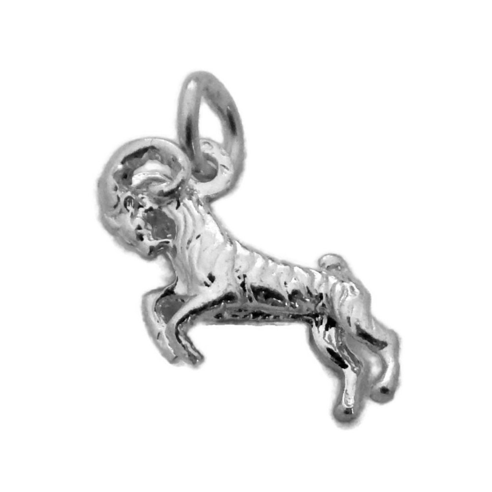 Aries Horoscope Zodiac Sign Unisex Pendant